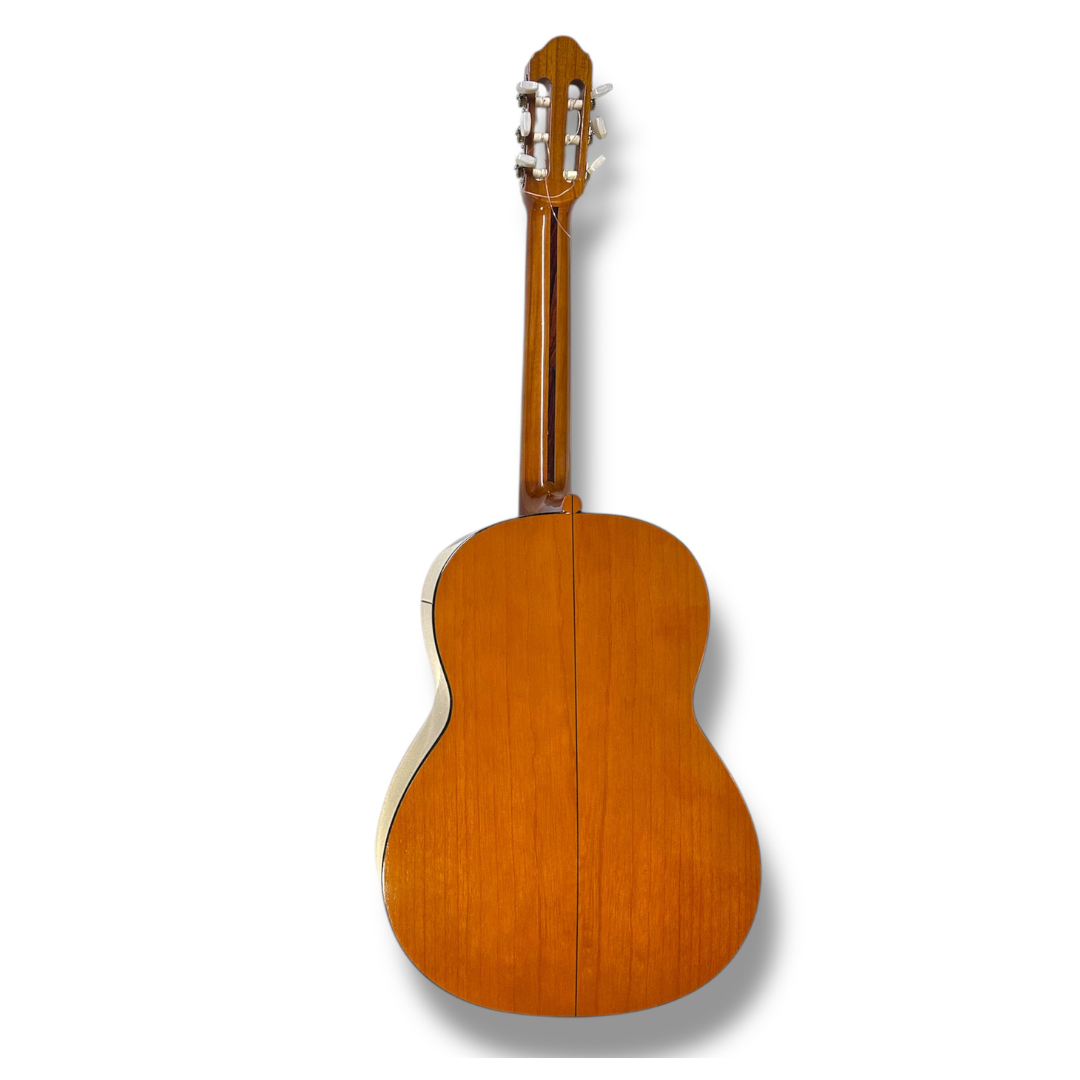 Guitara Acústica Clásica de Estudio de Cedro