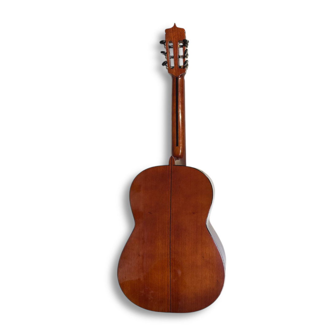 Guitara Acústica Clásica de Estudio Cedro