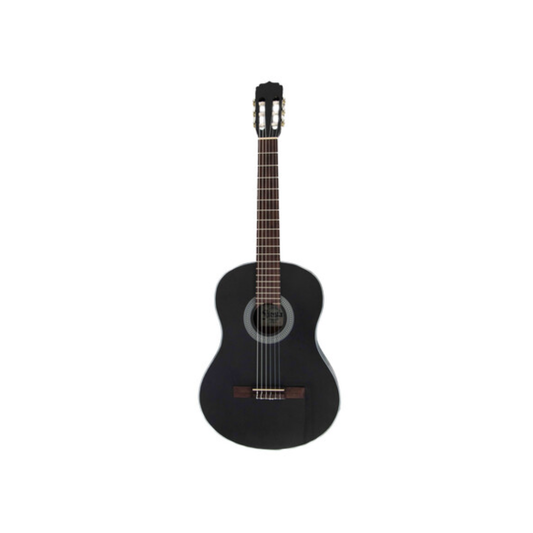 Guitarra Acústica Fiesta Aria Color Negra FST-C65 Color Negra