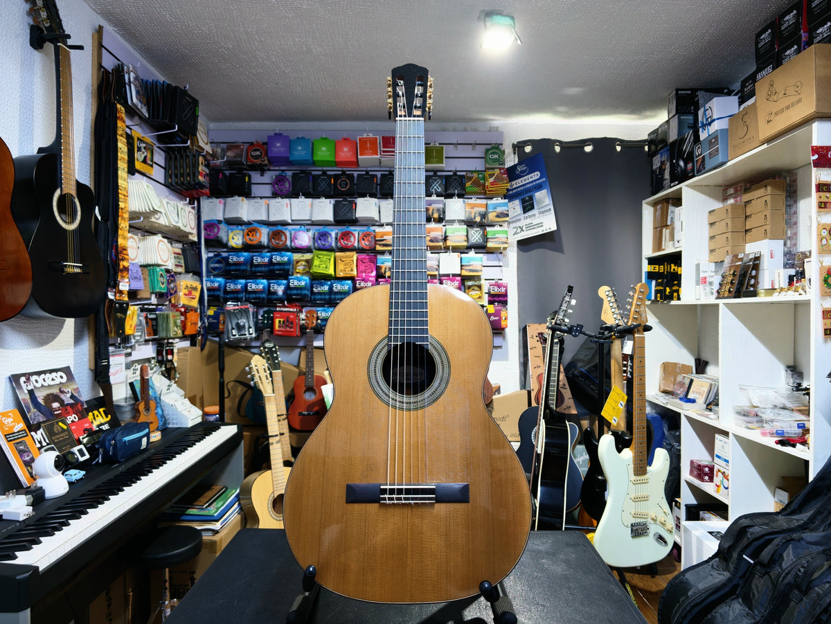 Guitarra de Concierto Sergio Damián Wilson 2026 NUEVA Cedro y Rosa de la India