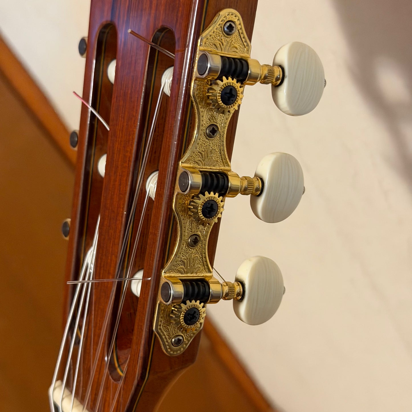 Paulino Bernabé M-10, año 2009