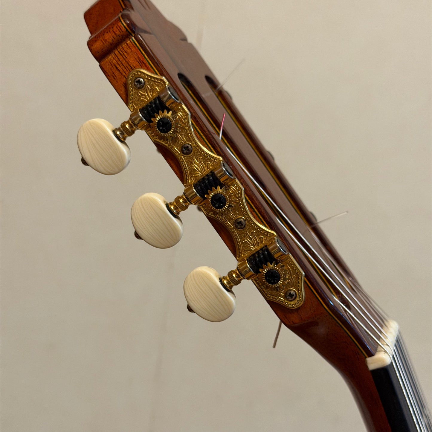 Paulino Bernabé M-10, año 2009