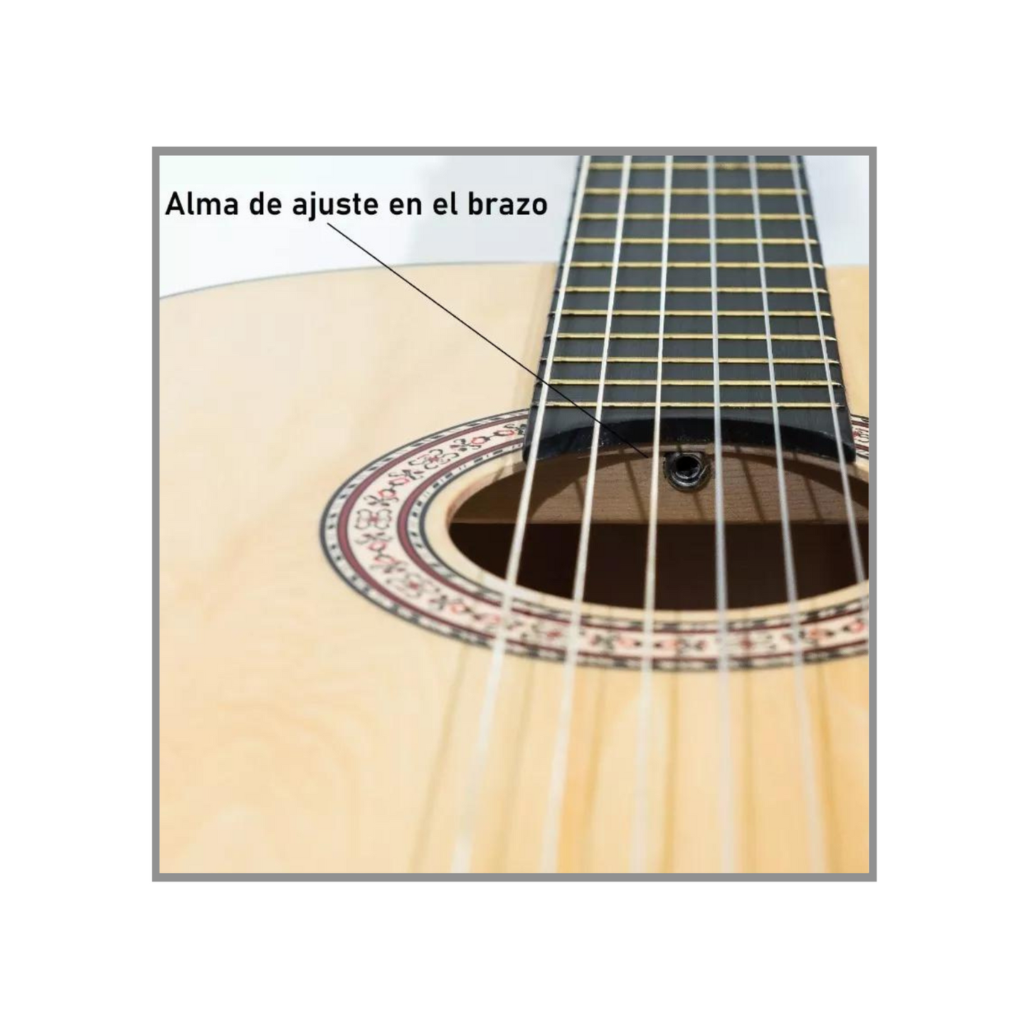 Guitarra Clásica / Acústica Alondra AN-39