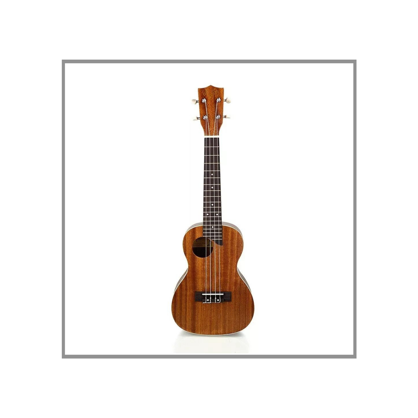 Ukelele de Concierto Vego de Calidad Profesional