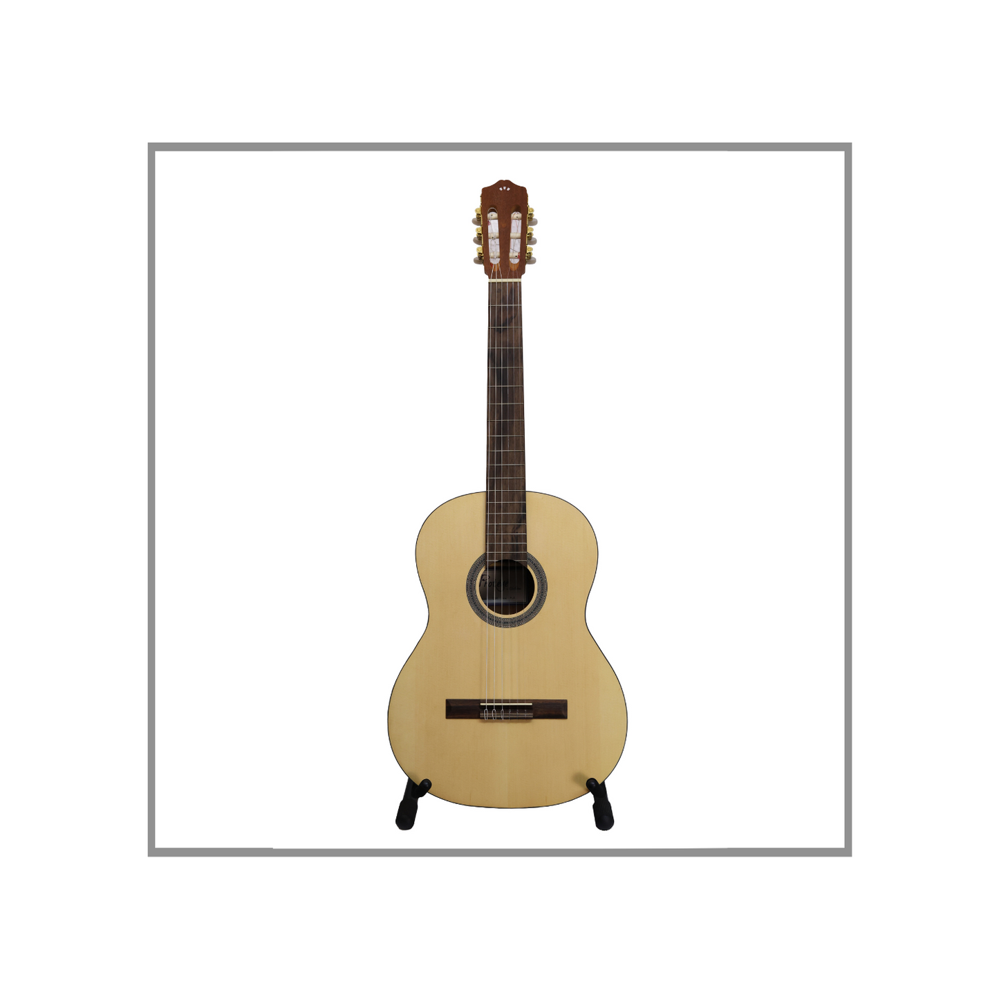 Guitarra Clásica de Concierto Protégé by Córdoba C1M Caja de Caoba Tapa de Abeto