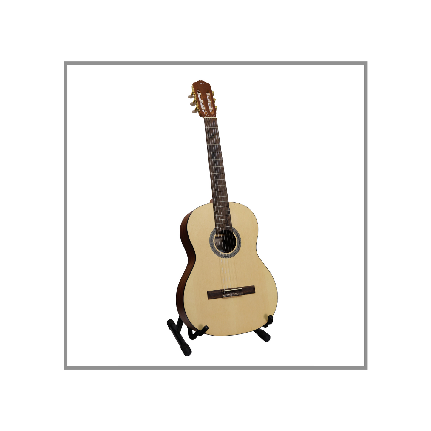 Guitarra Clásica de Concierto Protégé by Córdoba C1M Caja de Caoba Tapa de Abeto