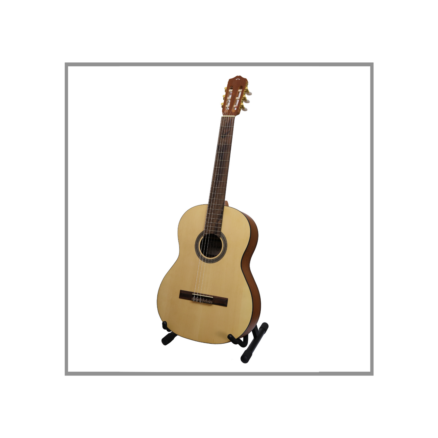 Guitarra Clásica de Concierto Protégé by Córdoba C1M Caja de Caoba Tapa de Abeto