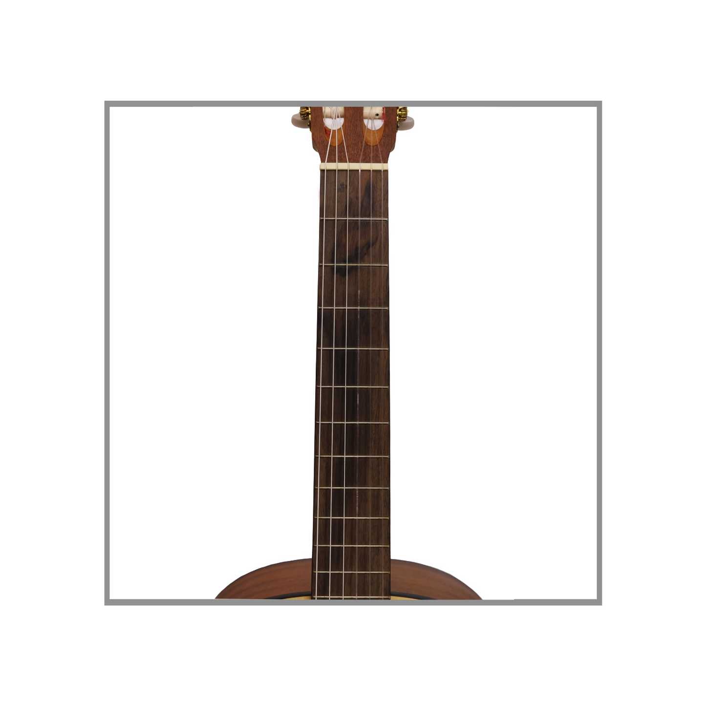 Guitarra Clásica de Concierto Protégé by Córdoba C1M Caja de Caoba Tapa de Abeto