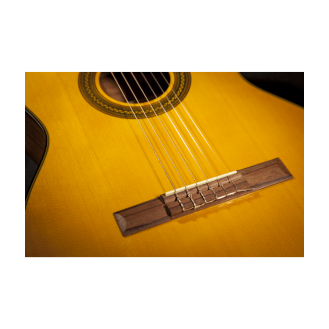 Takamine Guitarra Electroacústica de Cuerdas de Naylon GC1CE NAT