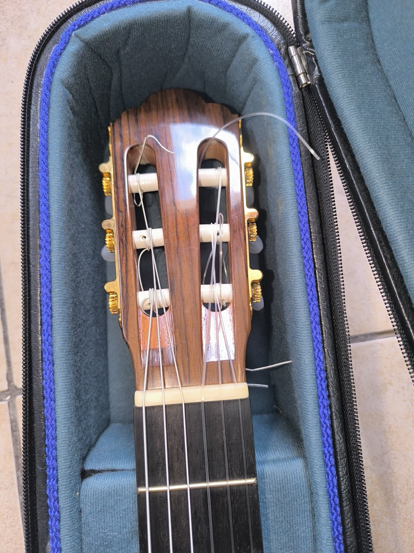 Guitarra Clásica de Concierto Arnulfo Rubio Rosa de La India