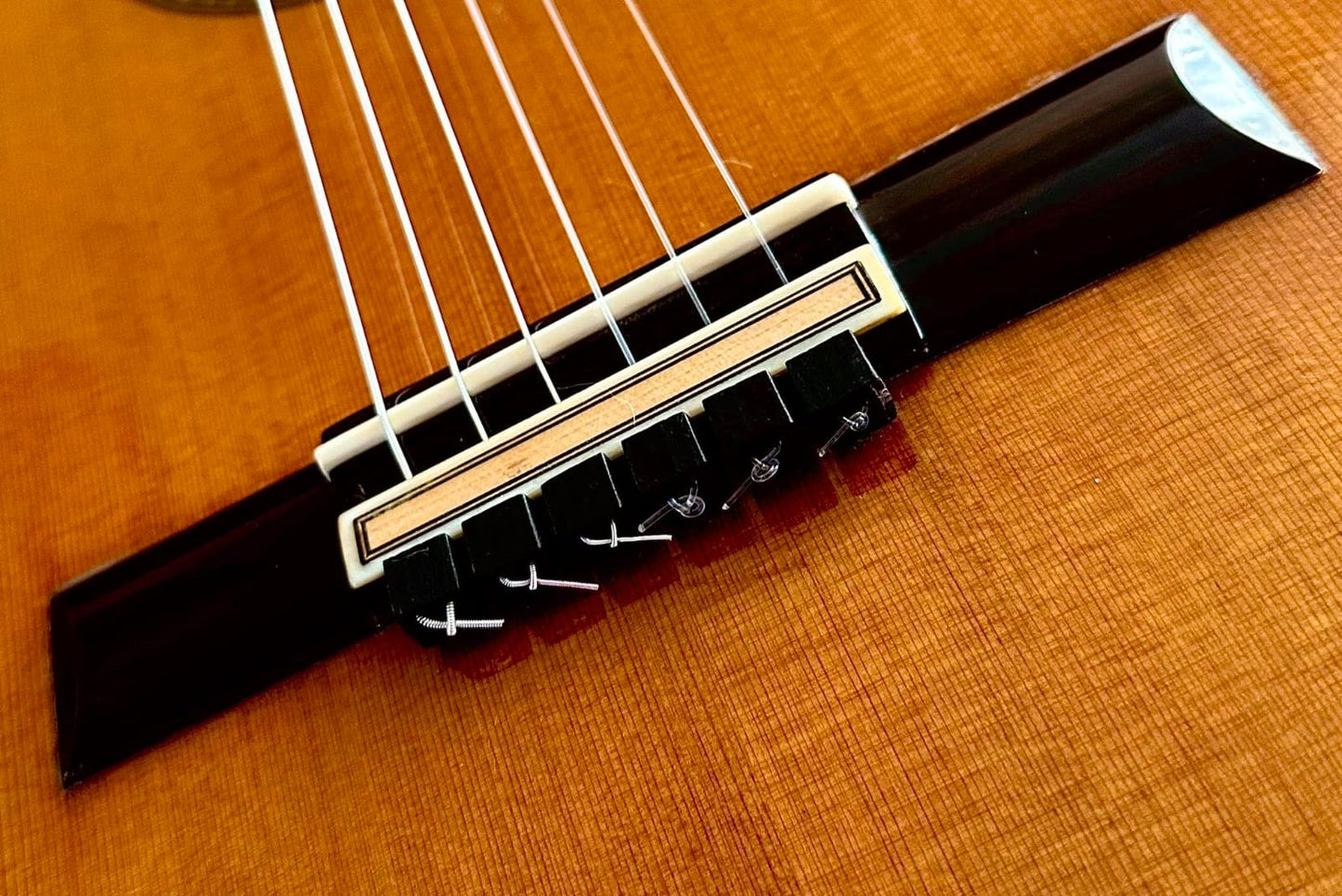 Guitarra Clásica de Concierto Gerardo Escobedo Palo Santo de Brasil