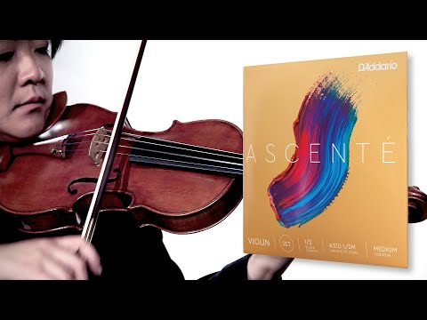 Dogal Marchio Verde Muta Di Corde Per Violino (4/4-3/4 - Foto 3